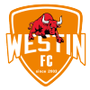 Foshan Athletics (W)