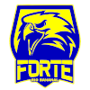 Forte FC