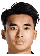 Lei Wenjie