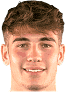 Radaelli N.